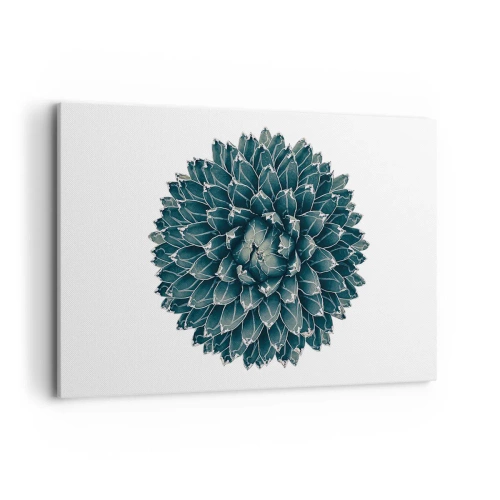 Cuadro sobre lienzo - Impresión de Imagen - Planta suculenta simétrica sobre un fondo blanco. - 120x80cm - Estrella del desierto - Decoración de pared moderna para salón y dormitorio ARTTOR