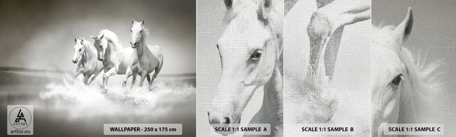 Muestra de fotomural Premium Canvas - Locura blanca - animales, Caballos, Naturaleza - 100x30 cm