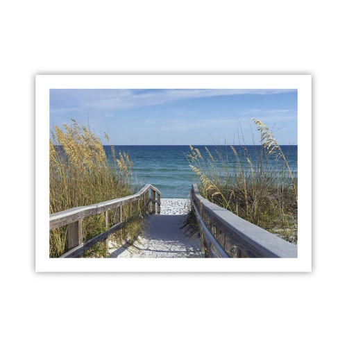 Póster - En el sol, en el viento - 70x50 cm