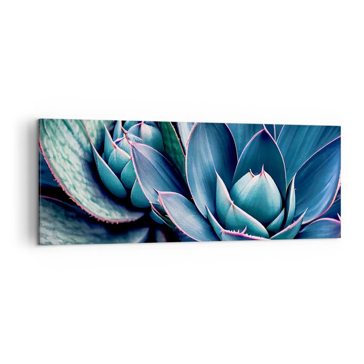 Cuadro sobre lienzo - Impresión de Imagen - Agave en tonos azules y verdes con acentos rosados. - 140x50cm - Fuerza vital - Decoración de pared moderna para salón y dormitorio ARTTOR