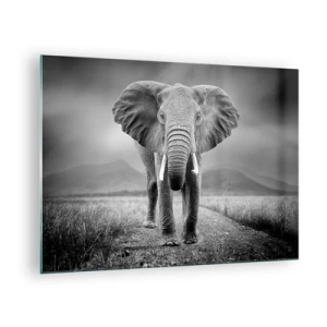 Cuadro sobre vidrio - Impresiones sobre Vidrio - Elefante en la sabana en blanco y negro - 70x50cm - El anfitrión da la bienvenida - Decoración de pared moderna para salón y dormitorio ARTTOR
