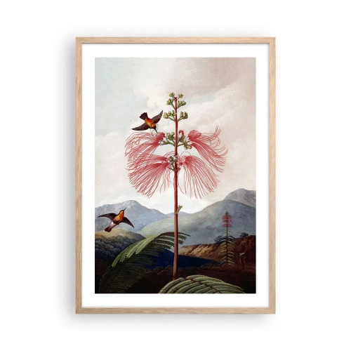 Póster en marco roble claro - En un paraíso tropical - 50x70 cm