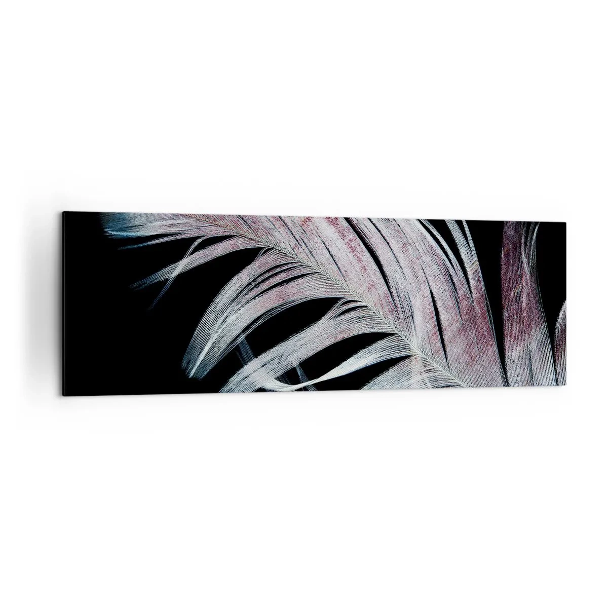 Cuadro sobre lienzo - Impresión de Imagen - Una delicada pluma sobre un fondo negro en un enfoque artístico. - 160x50cm - Piensa en el tacto - Decoración de pared moderna para salón y dormitorio ARTTOR