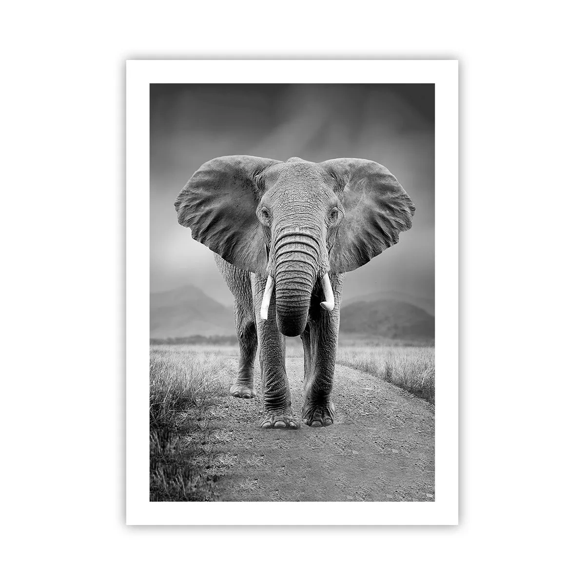 Póster - Un elefante frente a un paisaje africano en blanco y negro. - 50x70cm - El anfitrión da la bienvenida - Decoración de pared moderna para salón y dormitorio ARTTOR