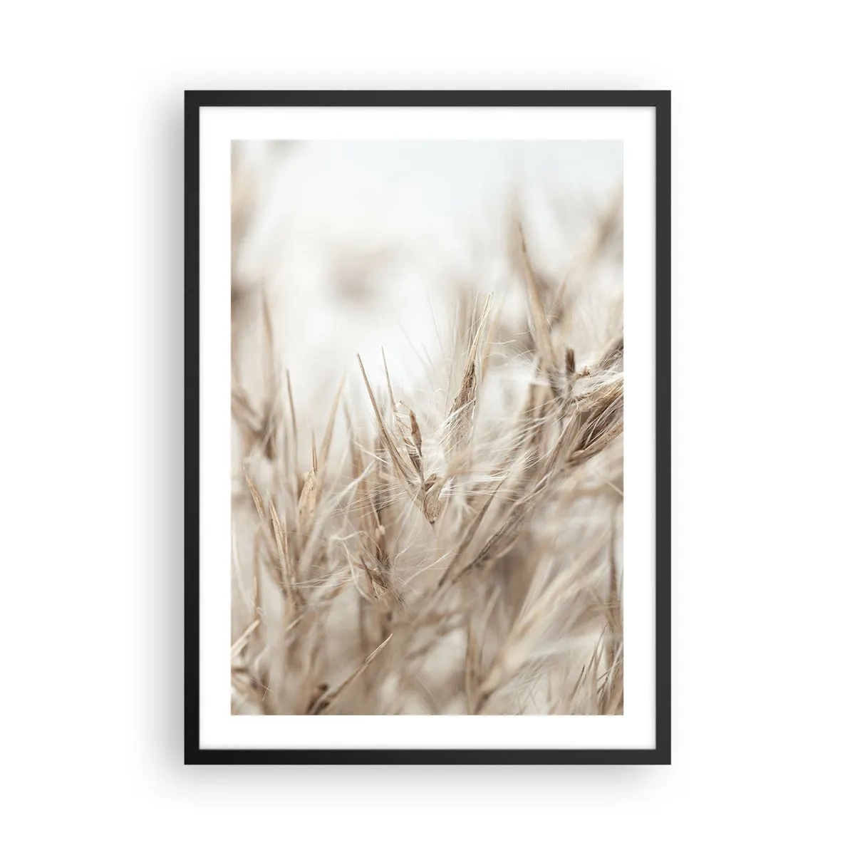 Póster en marco negro - Pradera y viento - 50x70 cm
