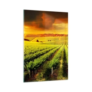 Cuadro sobre vidrio - Impresiones sobre Vidrio - Viñedos dorados iluminados por los rayos del sol. - 80x120cm - Bajo el sol de Australia - Decoración de pared moderna para salón y dormitorio ARTTOR