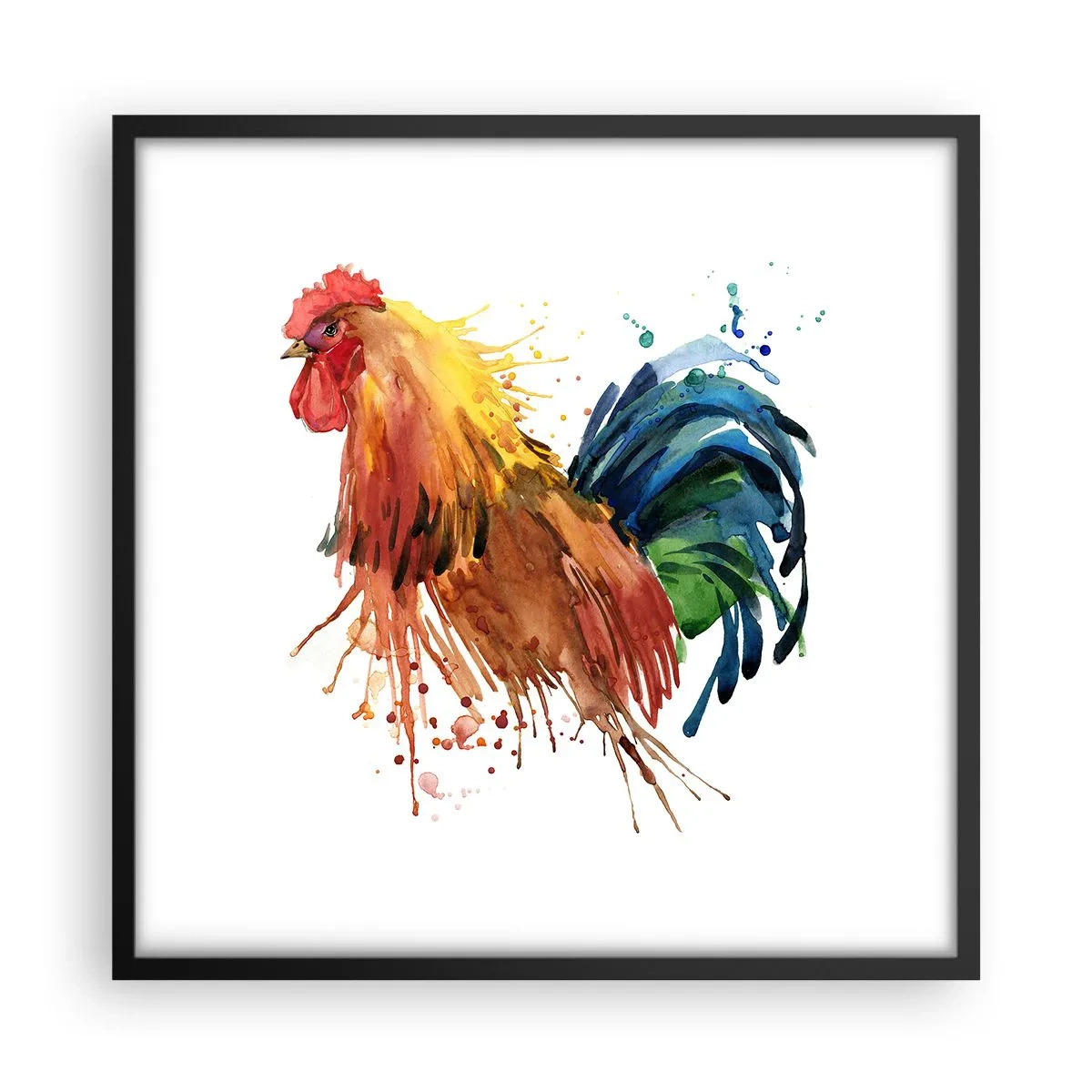 Póster en marco negro - Un manto real, un orgullo real - 50x50 cm