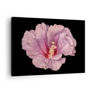 Cuadro sobre lienzo - Impresión de Imagen - Flor rosa sobre fondo negro - 70x50cm - Directo al corazón - Decoración de pared moderna para salón y dormitorio ARTTOR