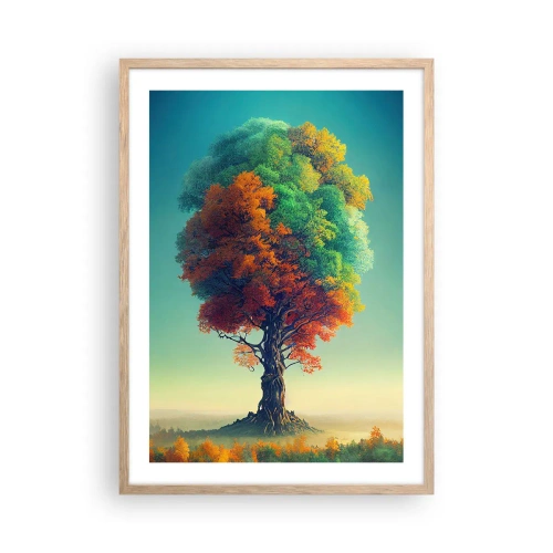 Póster en marco roble claro - El roble, padre de la naturaleza - 50x70 cm