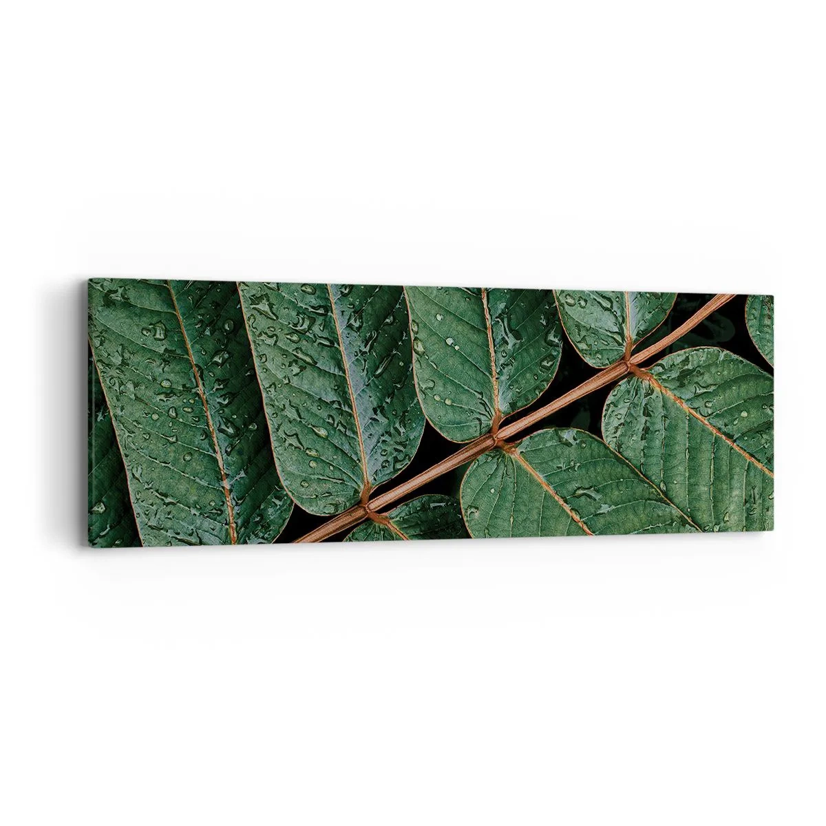 Cuadro sobre lienzo - Impresión de Imagen - En un ritmo verde - 90x30 cm