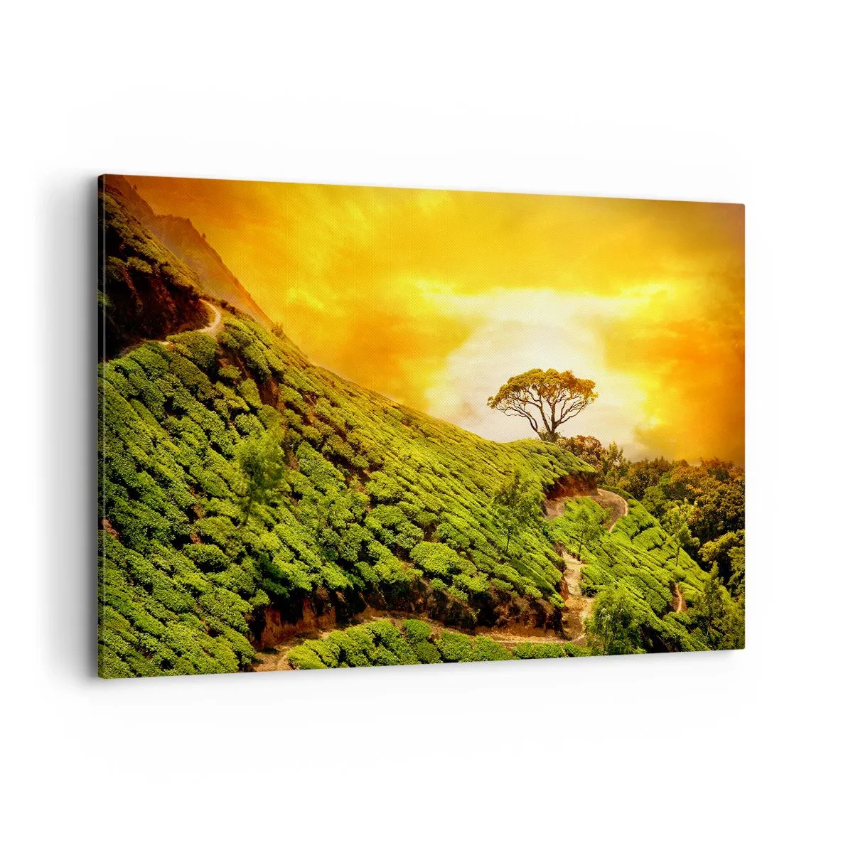 Cuadro sobre lienzo - Impresión de Imagen - Colinas verdes de plantaciones de té al atardecer - 120x80cm - Por un camino sinuoso, por una verde pendiente - Decoración de pared moderna para salón y dormitorio ARTTOR