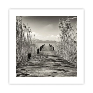 Póster - En la quietud de los juncos - 40x40 cm