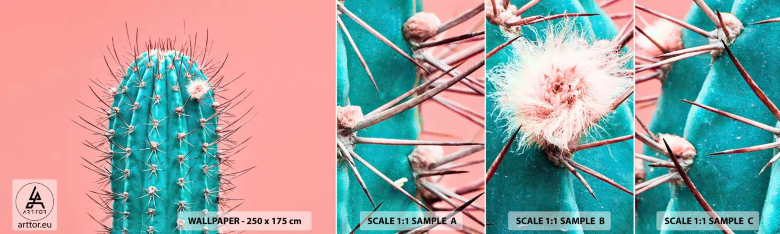 Muestra De Fotomural Standard Eco - Se mira, pero no se toca - Cactus, Pastel, Minimalismo - 100x30 cm