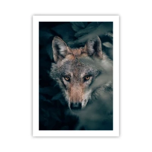 Póster - Retrato de un lobo en un misterioso entorno forestal. - 50x70cm - Cazador - Decoración de pared moderna para salón y dormitorio ARTTOR