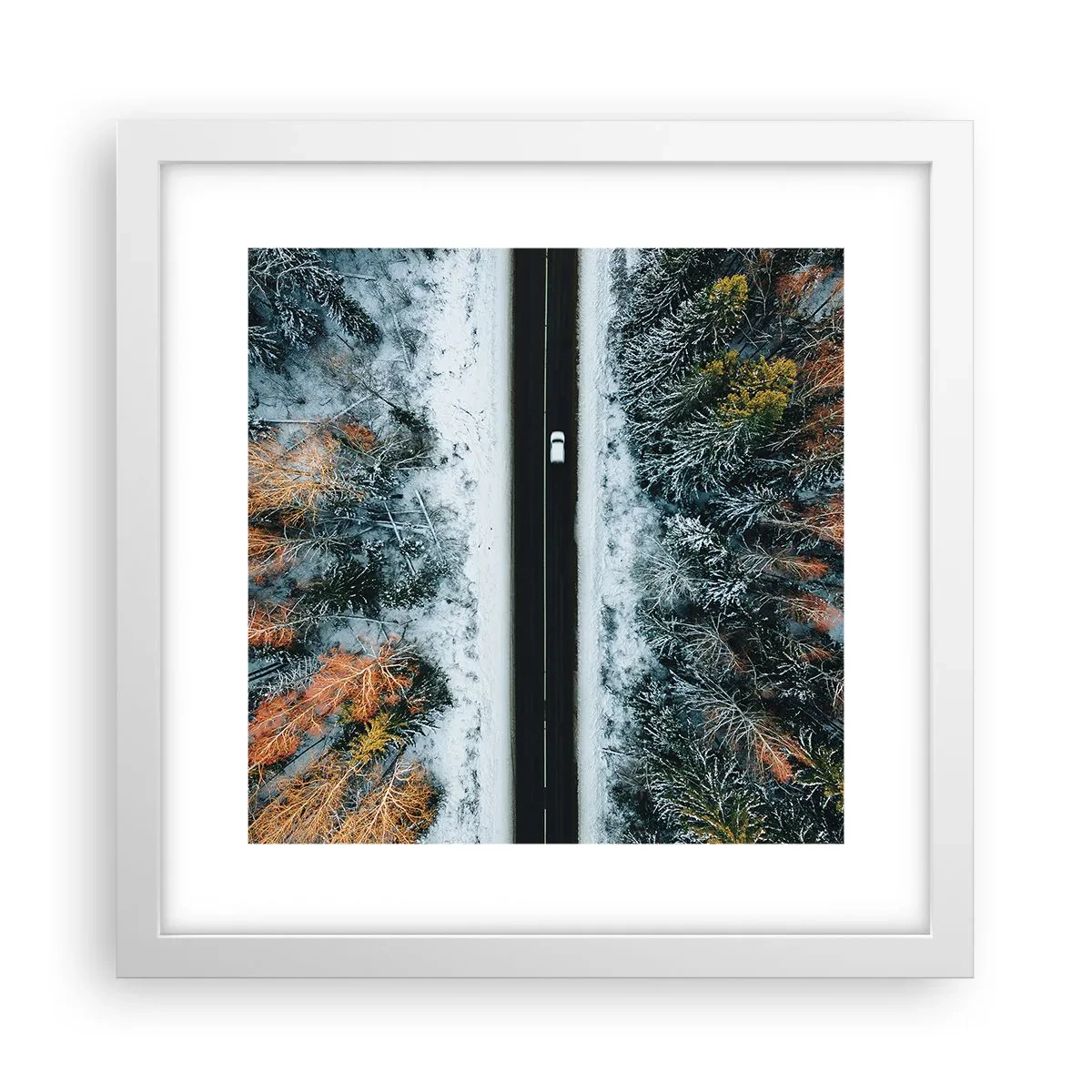 Póster en marco blanco - Atravesar el bosque en invierno - 30x30 cm