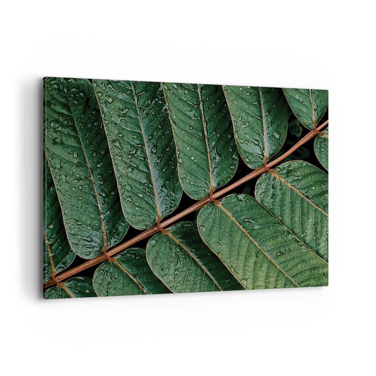 Cuadro sobre lienzo - Impresión de Imagen - Fotografía macro de hojas verdes con gotas de rocío. - 120x80cm - En un ritmo verde - Decoración de pared moderna para salón y dormitorio ARTTOR