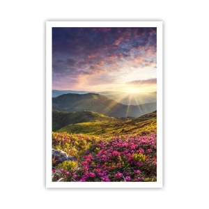 Póster - La frescura de una mañana de montaña - 70x100 cm