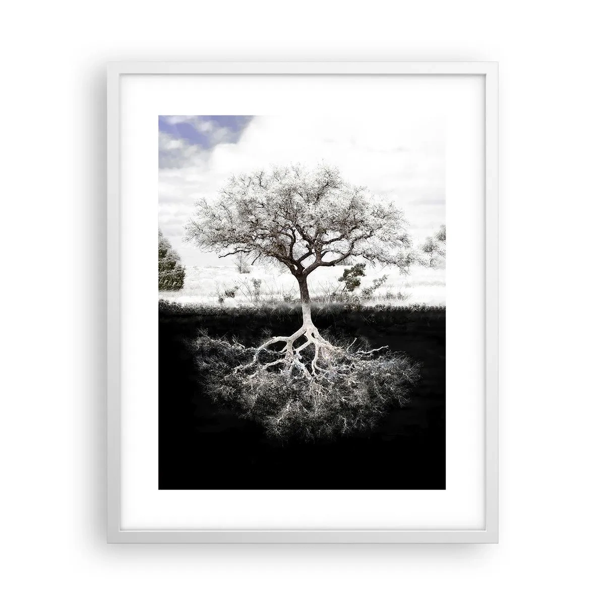 Póster en marco blanco - Descubrir la naturaleza del mundo - 40x50 cm