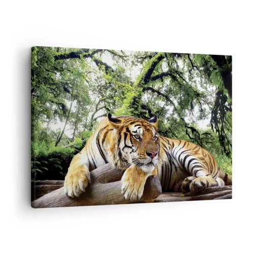 Cuadro sobre lienzo - Impresión de Imagen - Un tigre descansando en un bosque tropical. - 70x50cm - Atentamente - Decoración de pared moderna para salón y dormitorio ARTTOR