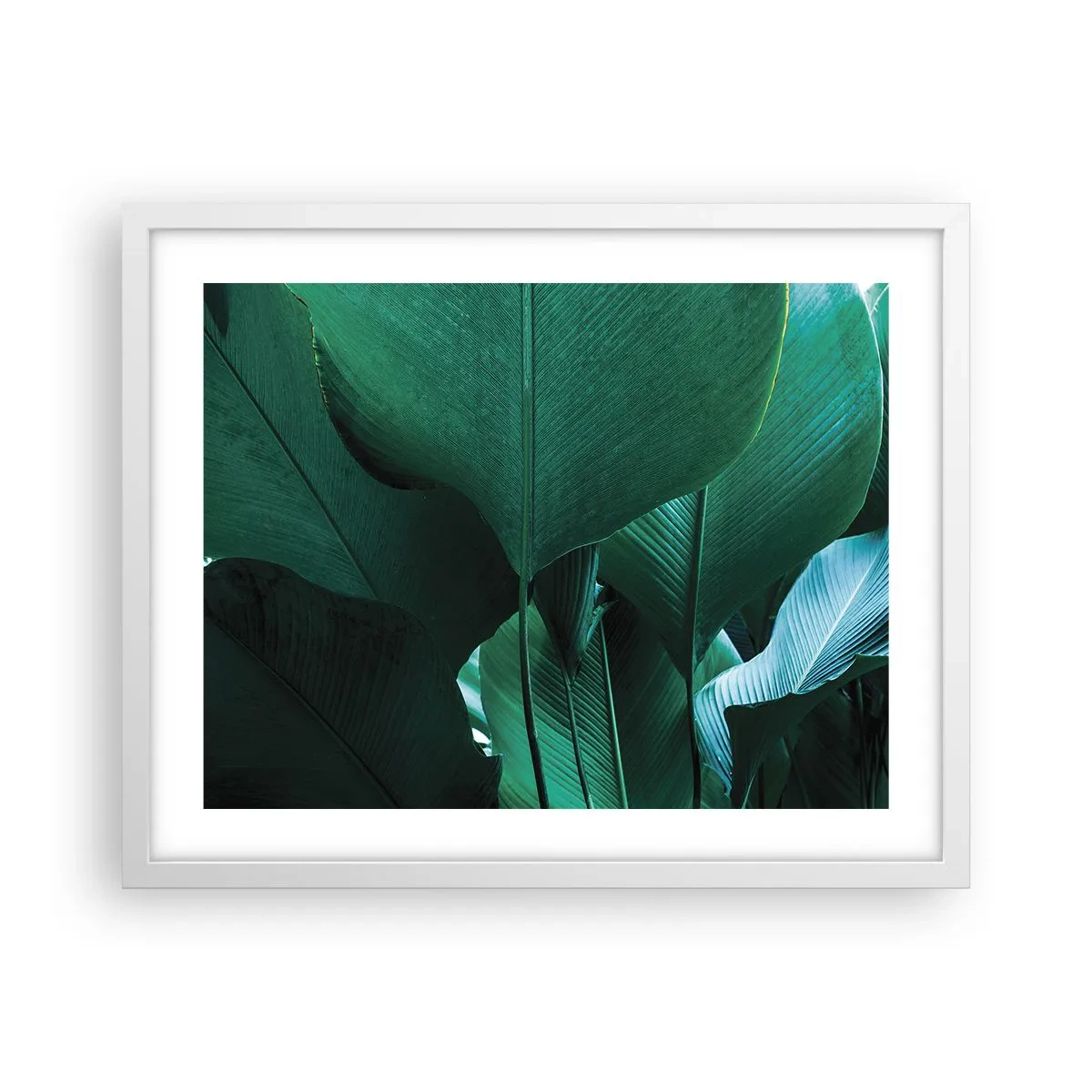 Póster en marco blanco - De cara a la luz - 50x40 cm