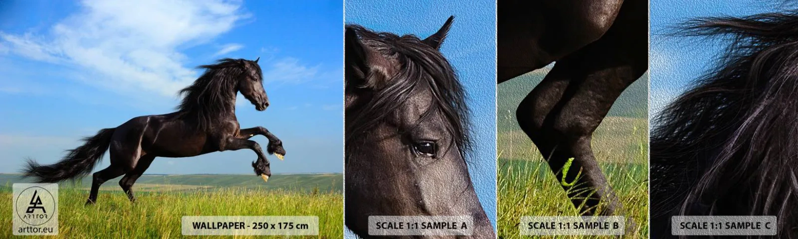 Muestra de fotomural Premium Sand - Emocionante manifiesto de libertad - animales, Caballo, Paisaje - 100x30 cm