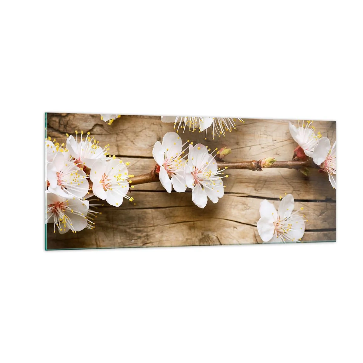 Cuadro sobre vidrio - Impresiones sobre Vidrio - Se acerca la primavera - 100x40 cm