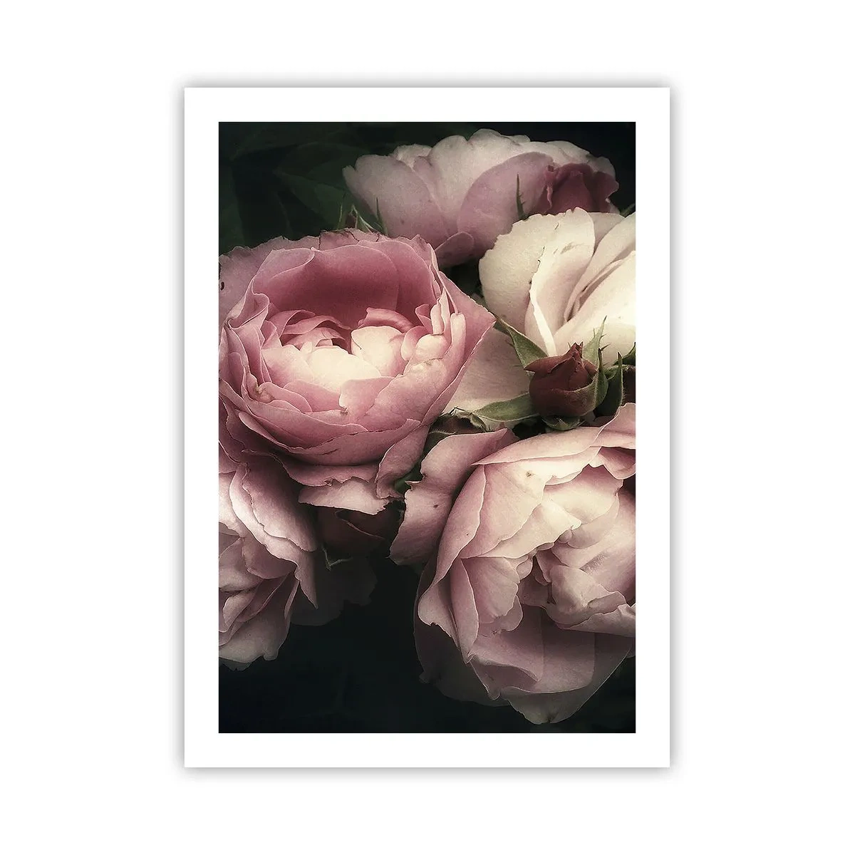 Póster - Peonías rosas en un arreglo elegante y clásico. - 50x70cm - El encanto de la belle époque - Decoración de pared moderna para salón y dormitorio ARTTOR