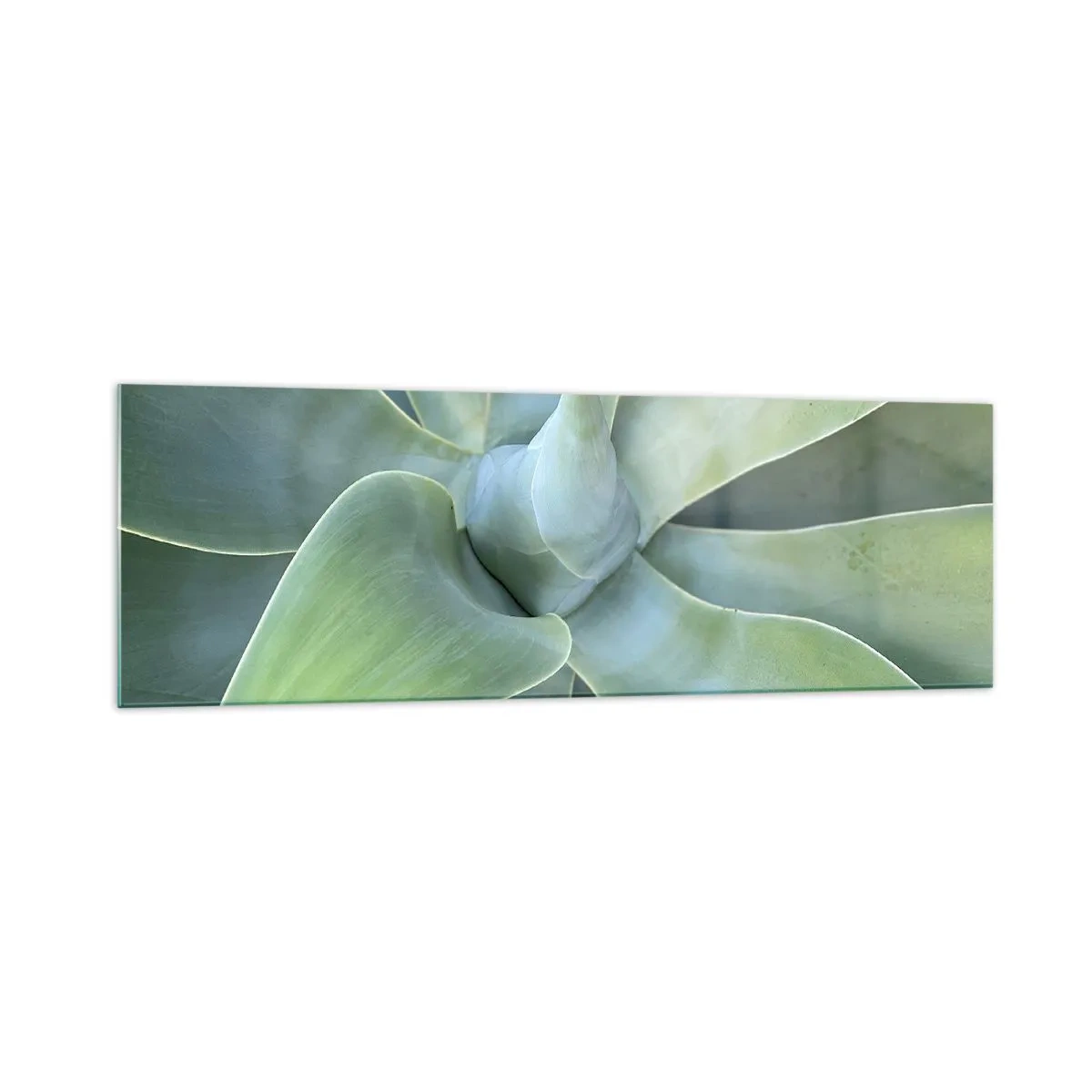 Cuadro sobre vidrio - Impresiones sobre Vidrio - Hojas sutiles de agave en tonos verdes. - 160x50cm - El nacimiento del verde - Decoración de pared moderna para salón y dormitorio ARTTOR