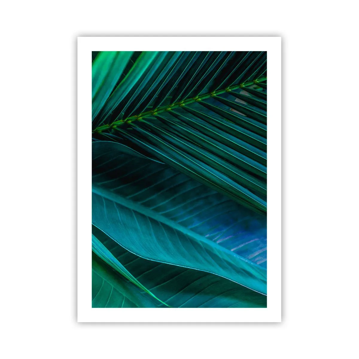 Póster - Hojas tropicales en tonos de verde intenso. - 50x70cm - Anatomía del verde - Decoración de pared moderna para salón y dormitorio ARTTOR