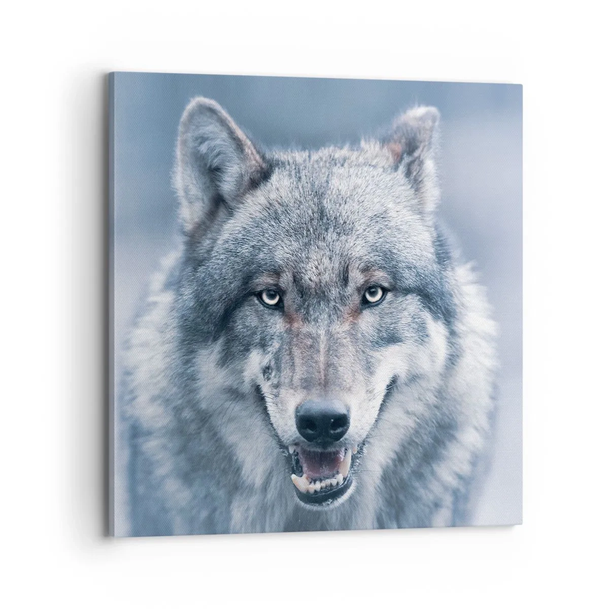 Cuadro sobre lienzo - Impresión de Imagen - ¿Aceptarás el reto? - 70x70 cm