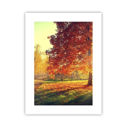 Póster - El rojo es hermoso - 30x40 cm