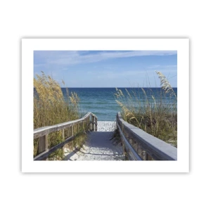 Póster - En el sol, en el viento - 50x40 cm