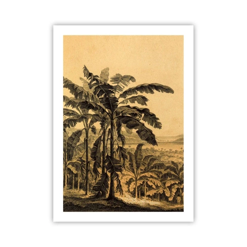 Póster - Ilustración de palmeras sobre un fondo de paisaje tropical - 50x70cm - En un ambiente colonial - Decoración de pared moderna para salón y dormitorio ARTTOR