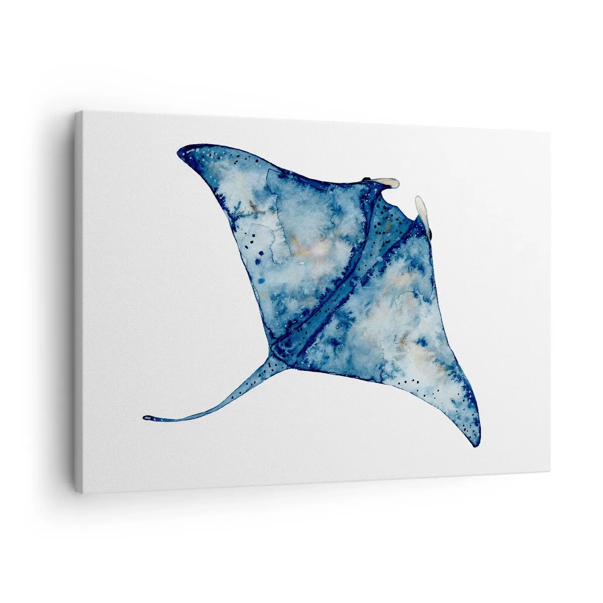 Cuadro sobre lienzo - Impresión de Imagen - Raya azul en estilo acuarela sobre fondo blanco - 70x50cm - La vida en azul - Decoración de pared moderna para salón y dormitorio ARTTOR