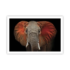 Póster - Soy salvaje, ¿y tú? - 91x61 cm