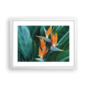 Póster en marco blanco - ¿Es una flor o es un pájaro? - 40x30 cm