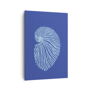 Cuadro sobre lienzo - Impresión de Imagen - Nacimiento de una concha - 70x100 cm