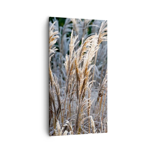 Cuadro sobre lienzo - Impresión de Imagen - Campos y campos - 55x100 cm