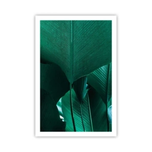 Póster - De cara a la luz - 61x91 cm