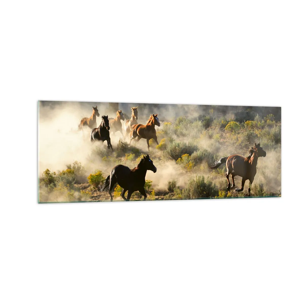 Cuadro sobre vidrio - Impresiones sobre Vidrio - Una manada de caballos salvajes galopando a través del polvo y la vegetación. - 140x50cm - Rivalidad: ¿libertad o fuerza? - Decoración de pared moderna para salón y dormitorio ARTTOR