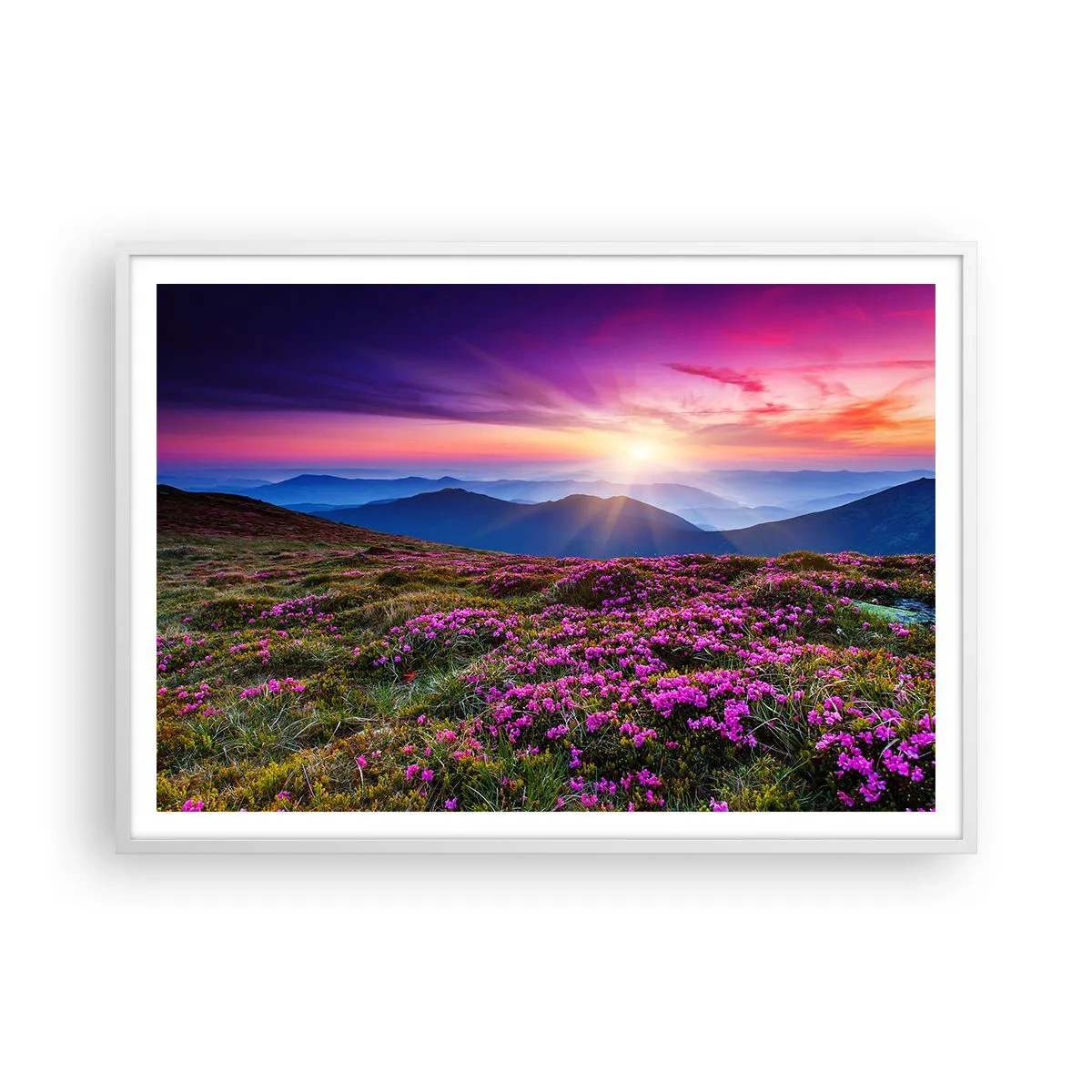 Póster en marco blanco - Dulce aroma a frescura - 100x70 cm