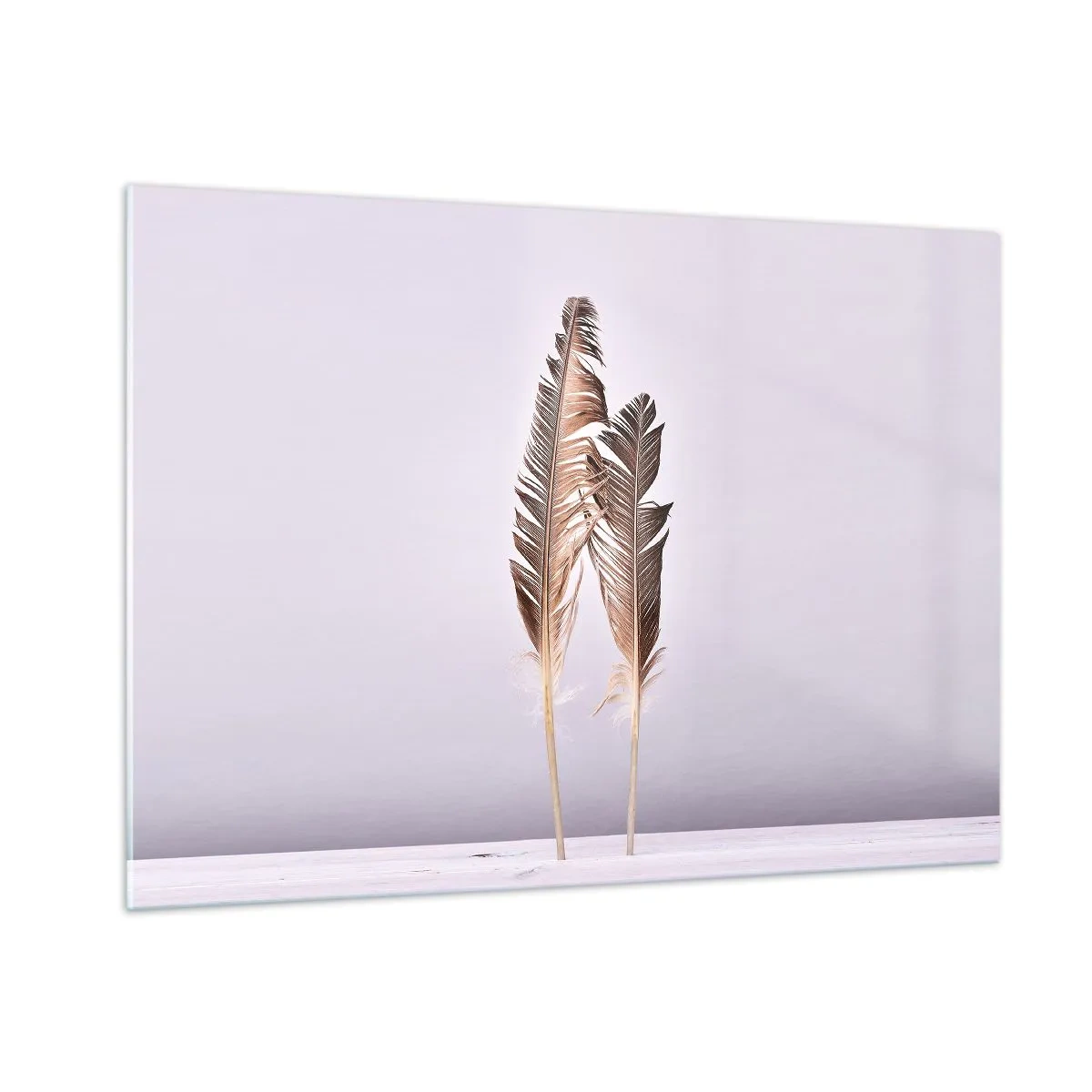 Cuadro sobre vidrio - Impresiones sobre Vidrio - Dos delicadas plumas sobre un fondo claro. - 100x70cm - Contra la nada - Decoración de pared moderna para salón y dormitorio ARTTOR