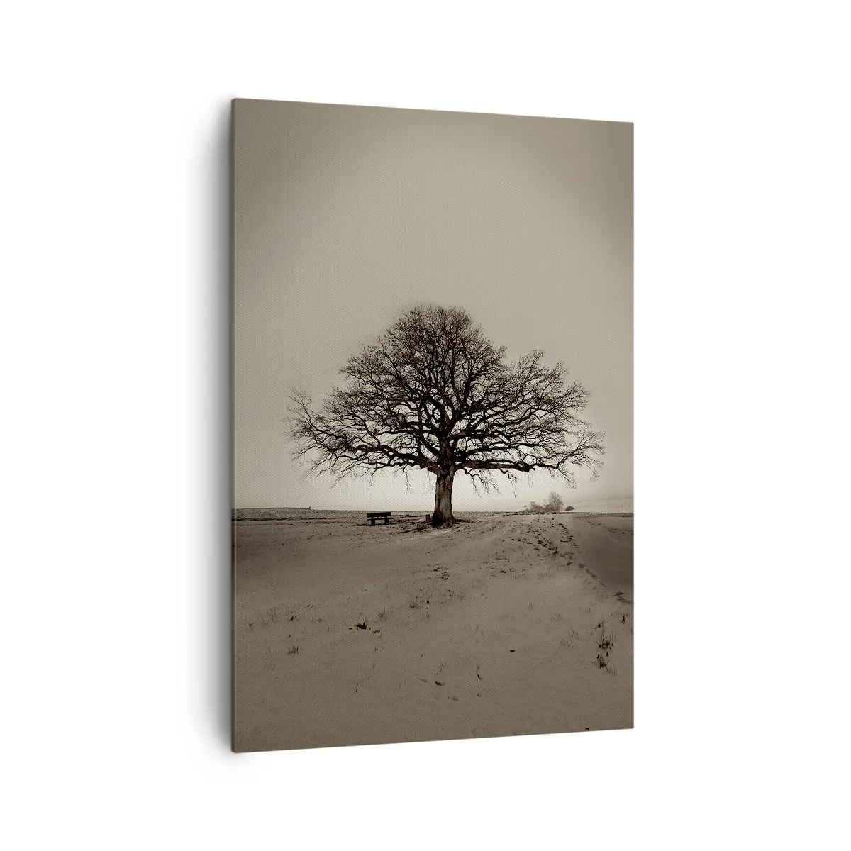 Cuadro sobre lienzo - Impresión de Imagen - Un árbol solitario en un campo sepia - 70x100cm - De aquí a la eternidad - Decoración de pared moderna para salón y dormitorio ARTTOR