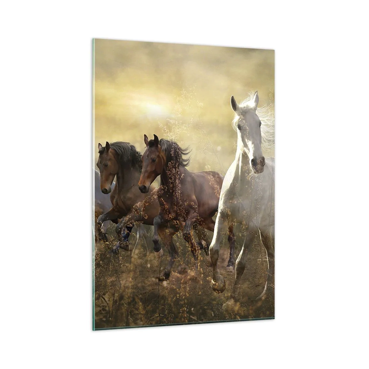 Cuadro sobre vidrio - Impresiones sobre Vidrio - Una manada de caballos galopando bajo los rayos del sol poniente. - 50x70cm - ¡Viva la libertad! - Decoración de pared moderna para salón y dormitorio ARTTOR