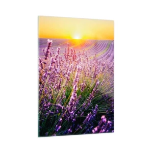 Cuadro sobre vidrio - Impresiones sobre Vidrio - Campo de lavanda al amanecer con un camino rocoso. - 50x70cm - Pradera fragante - Decoración de pared moderna para salón y dormitorio ARTTOR