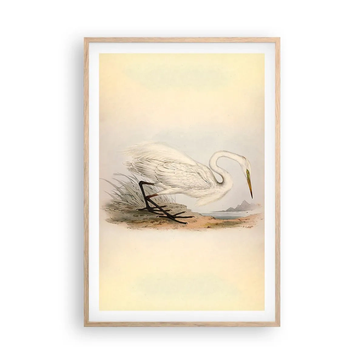 Póster en marco roble claro - Dama de los juncos - 61x91 cm