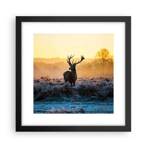 Póster en marco negro - Coronado en sus propios dominios - 30x30 cm