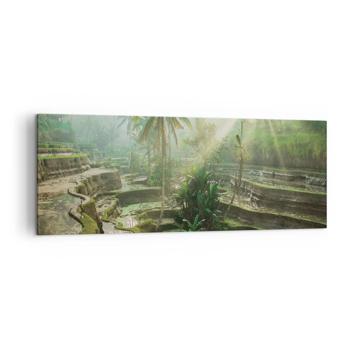 Cuadro sobre lienzo - Impresión de Imagen - Terrazas de arroz con palmeras bajo los rayos del sol - 140x50cm - Crecer bajo el sol - Decoración de pared moderna para salón y dormitorio ARTTOR