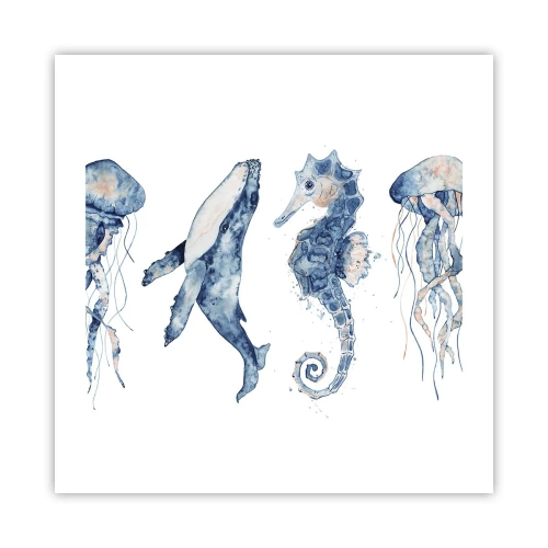 Póster - Fauna marina - 50x50 cm