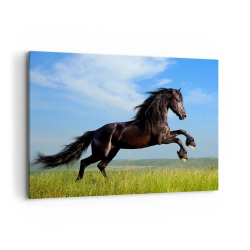 Cuadro sobre lienzo - Impresión de Imagen - Un caballo negro corriendo contra un cielo azul y un prado verde. - 100x70cm - Emocionante manifiesto de libertad - Decoración de pared moderna para salón y dormitorio ARTTOR